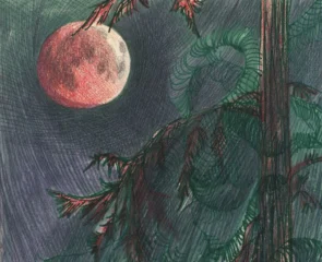 artwork by Anahita Darabbeigi