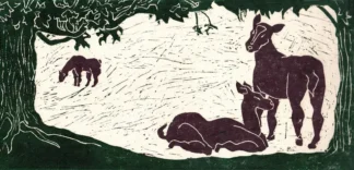 artwork by Anahita Darabbeigi artwork by Anahita Darabbeigi