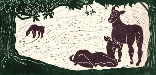 artwork by Anahita Darabbeigi