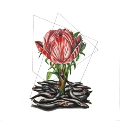 artwork by Nazanin Khosronia