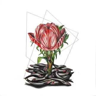 artwork by Nazanin Khosronia